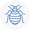 Bed Bug Extermination In Ecclesfield