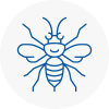 Ecclesfield Hornet Nest Removals