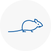 Mice Exterminators In Ecclesfield