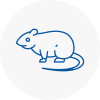 Rat Control Ecclesfield