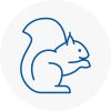 Ecclesfield Rodent Removals